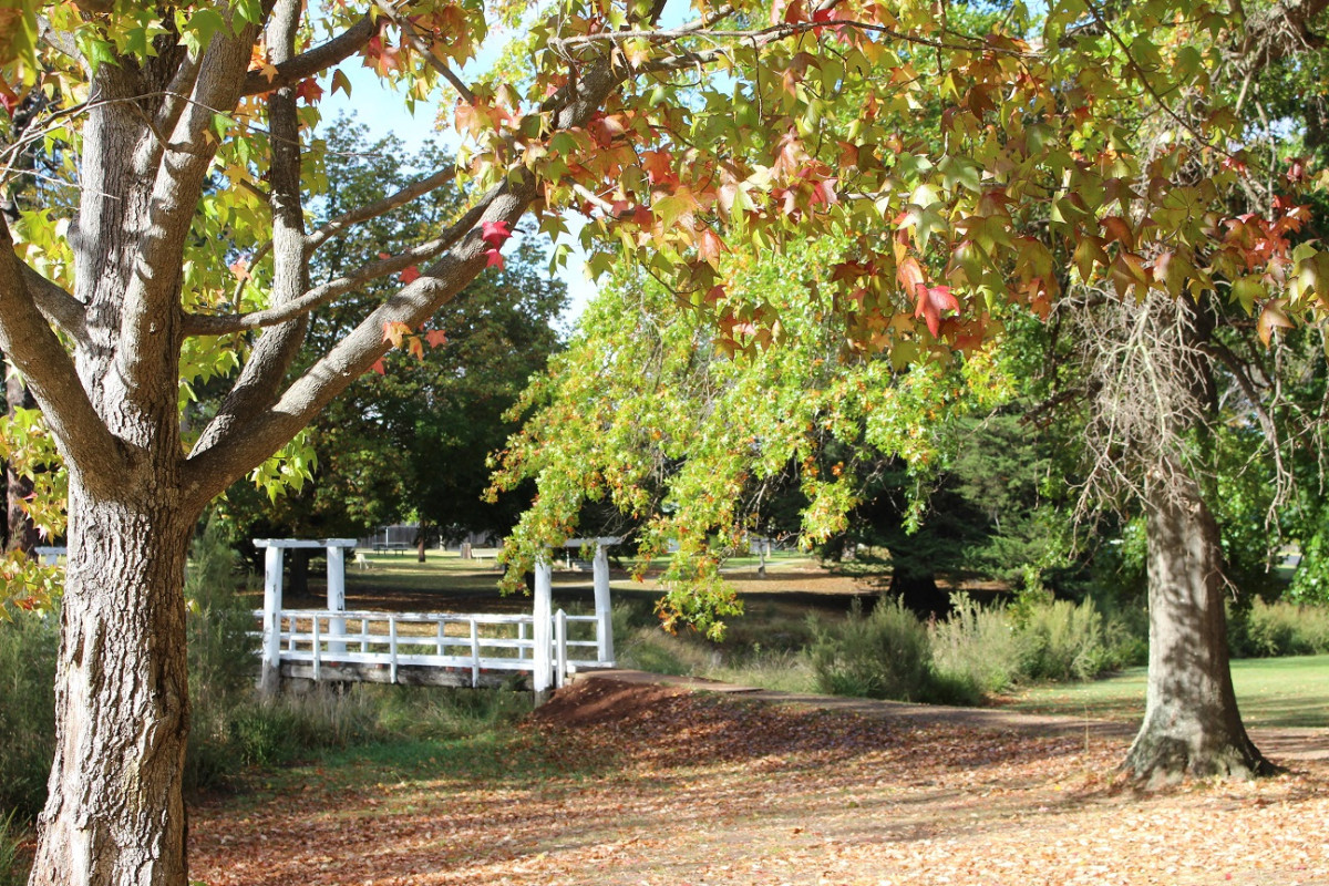 Uralla