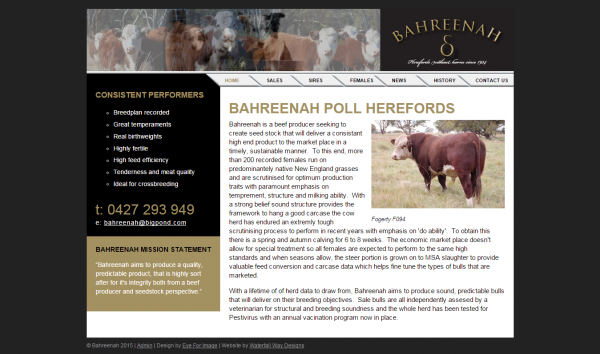 Bahreenah website