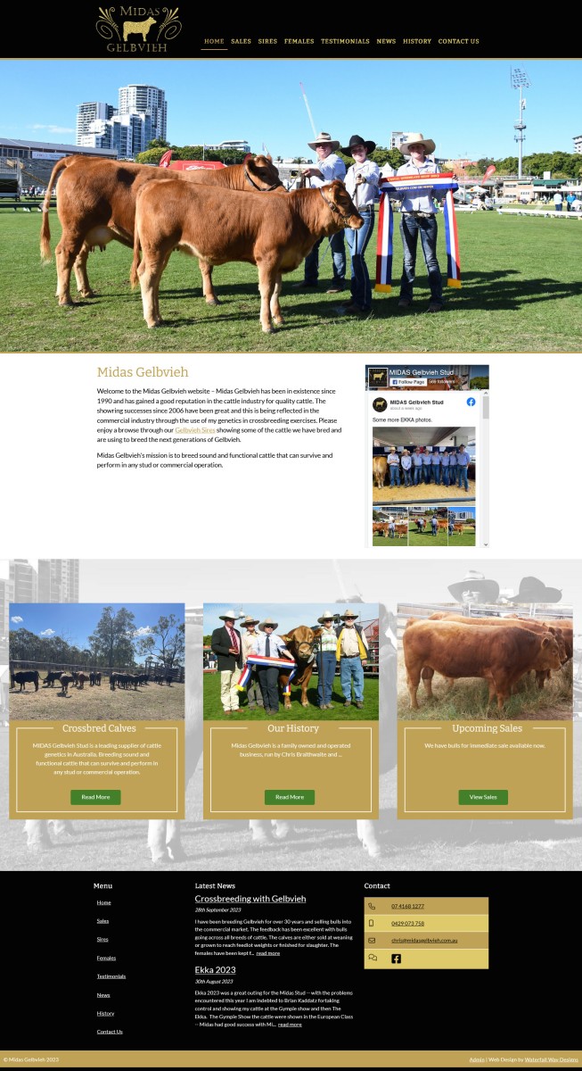 Midas Gelbvieh website