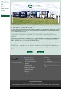 Peter Cameron Insurance