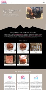 Salts of the Himalayas